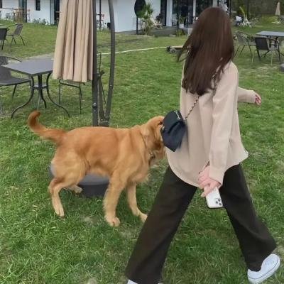 挑战者号